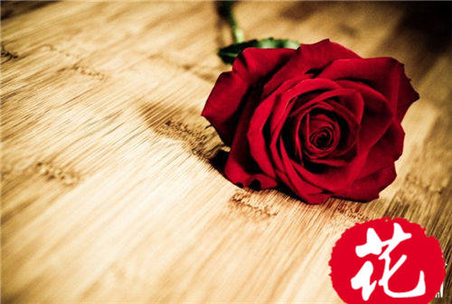 22朵玫瑰花语是什么：两情相悦