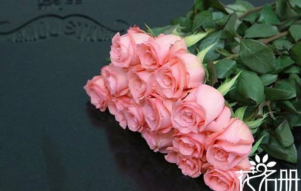 戴安娜玫瑰的花语：爱上你是我今生最大的幸福