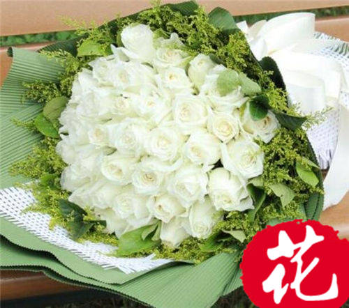 21朵白玫瑰的花语是什么：纯洁真挚的爱