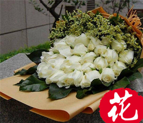 9朵白玫瑰的花语是什么：爱你如初[图片]