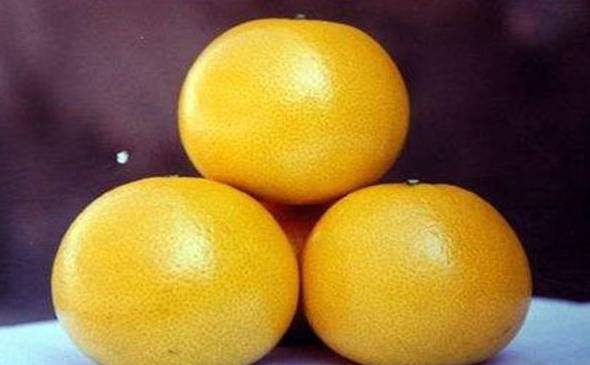 胡柚和柚子的区别 柚子比西柚大味道更甜[图片]
