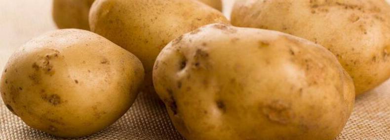 土豆种植技术[图片]