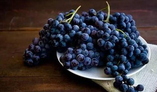 葡萄怎么保存时间长 四种方法让你葡萄持续保鲜