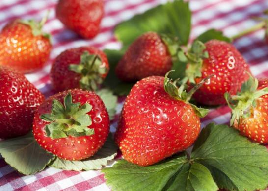 草莓烂了还能吃吗 如果只是受到轻微的机械损伤的草莓是可以吃的