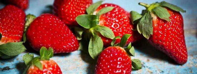 几月是吃草莓的季节