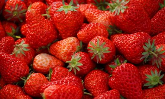 草莓什么时候成熟 草莓的成熟时间大约在2—3月份