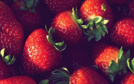 草莓种植季节 春季最适宜种植6月可成熟
