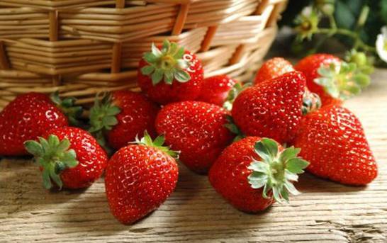 草莓什么时候结果 大概在4～5月开花结果