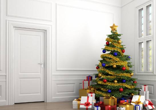 圣诞树是什么树 天然圣诞树一般用杉柏之类的常绿树做成