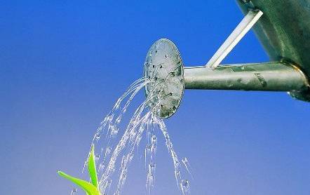 怎样给盆花浇水 品种不同 阶段不同 方法不同