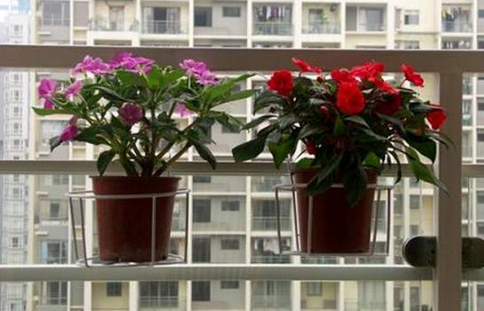 如何充分利用家庭阳台空间养花[图片]