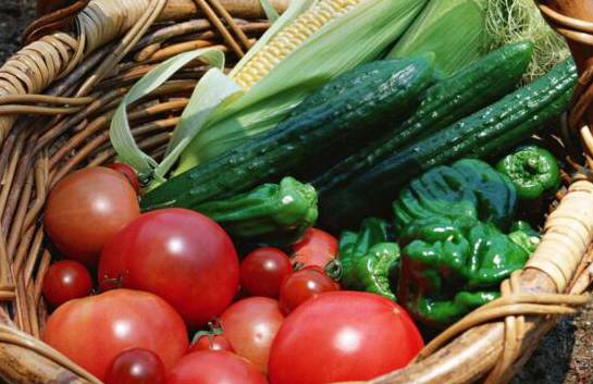 夏季的时令蔬菜有哪些 这10种蔬菜吃了降暑还提高免疫力