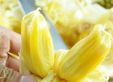 菠萝蜜怎么吃 熟与未熟的吃法介绍