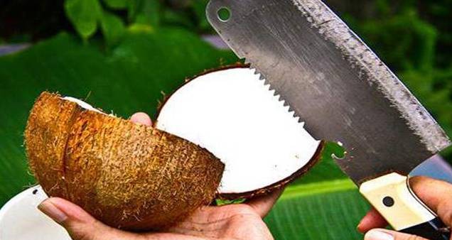 椰子怎么打开