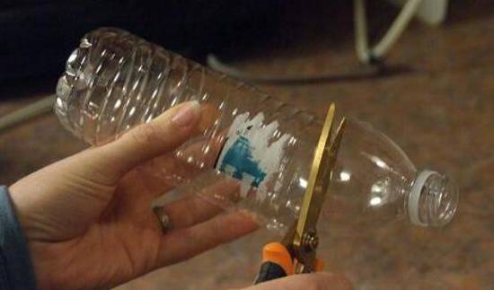栀子花懒人的水培扦插 一个塑料瓶一块泡沫就能搞定[图片]