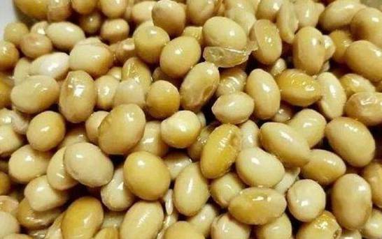 长寿花肥料自制方法 可用黄豆发酵或淘米水