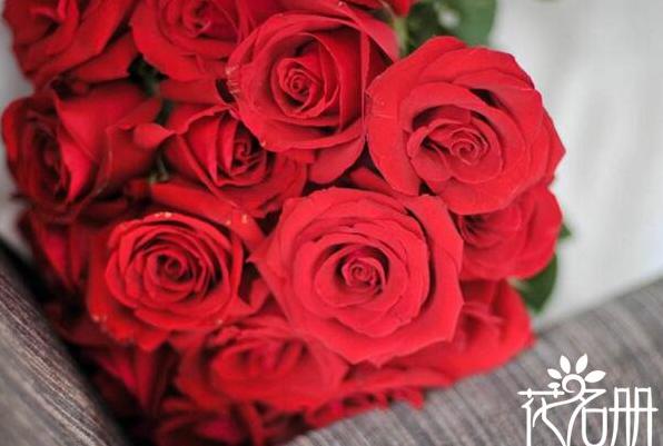 向女生表白送什么颜色的玫瑰 玫瑰各种颜色的含义