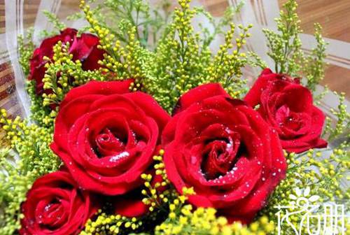保加利亚国花是什么花 寓意爱情的玫瑰花