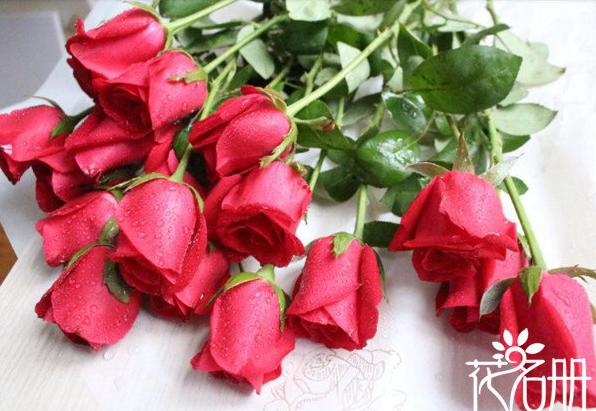 16朵玫瑰代表什么意思 多变不安的爱情