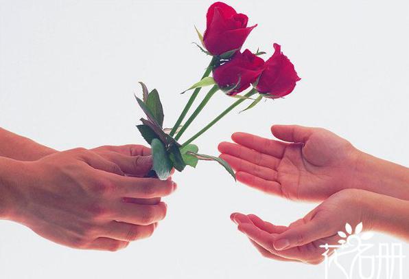 3朵玫瑰代表什么意思 我爱你