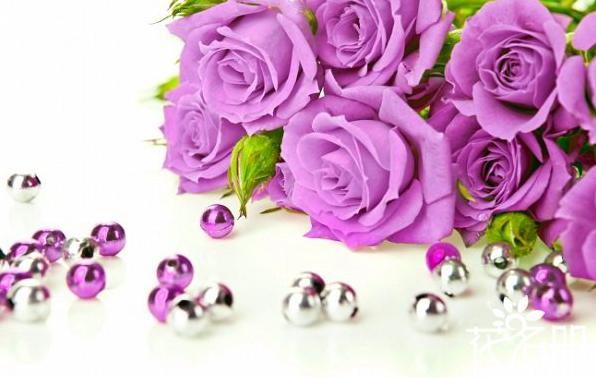送紫玫瑰代表什么意思 浪漫和珍贵的爱