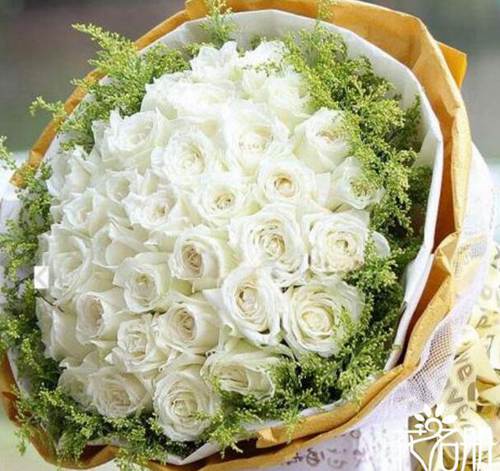 19朵白玫瑰代表什么 此生不渝相爱到永久
