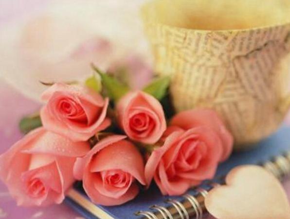 11朵玫瑰代表什么意思 今生最爱还是你[图片]