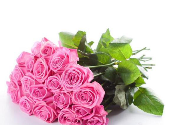 粉色玫瑰代表什么意思 喜欢你那灿烂的笑容