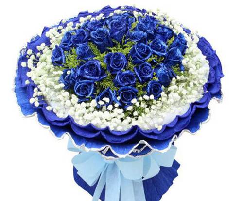 蓝玫瑰送什么人合适 送喜欢的任何人
