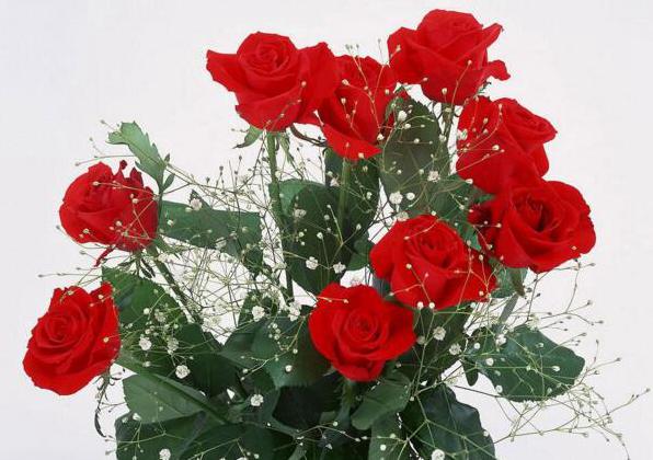 情人节送玫瑰花朵数的含义 不同朵数含义不同